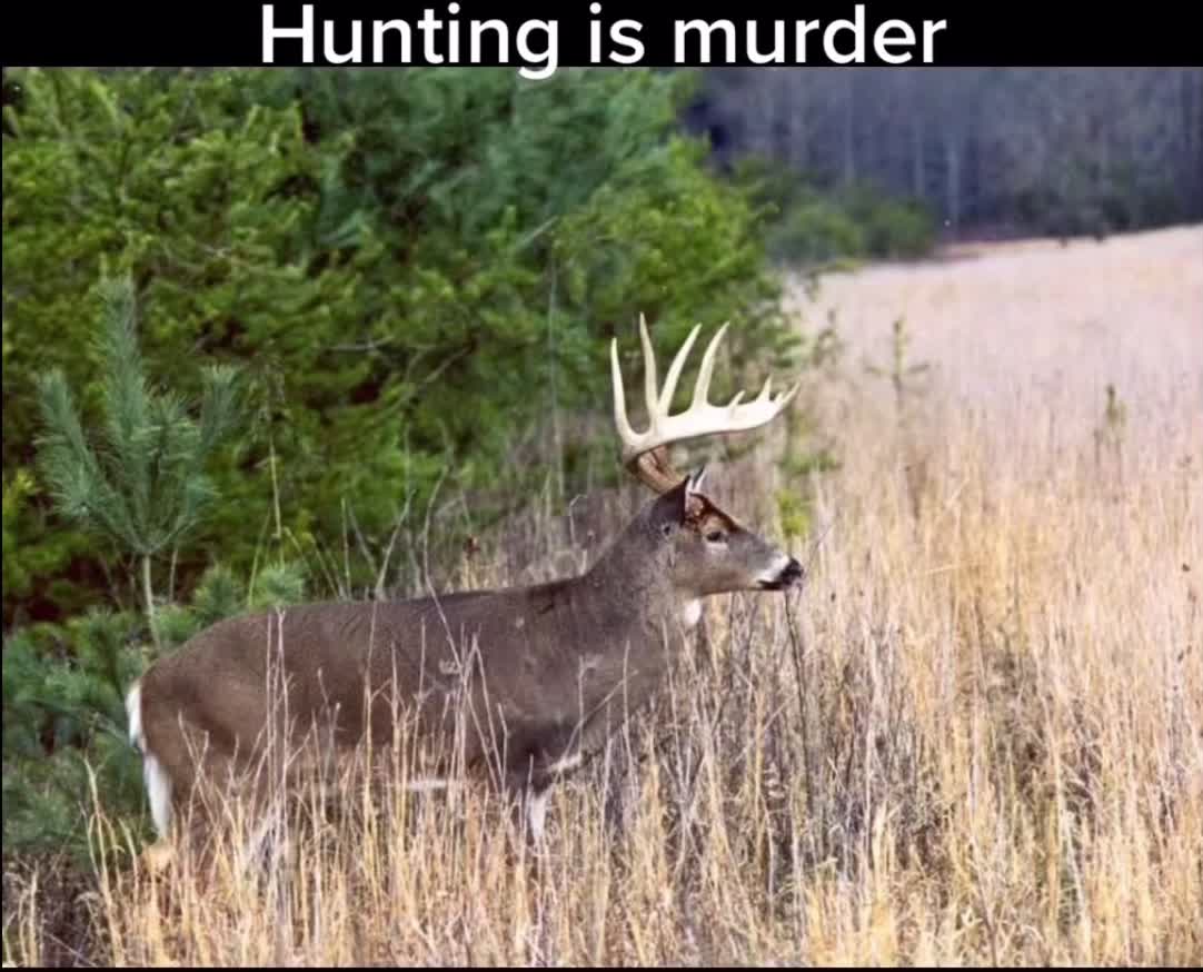 @𖣂♱ ︎Hunter ✞✟