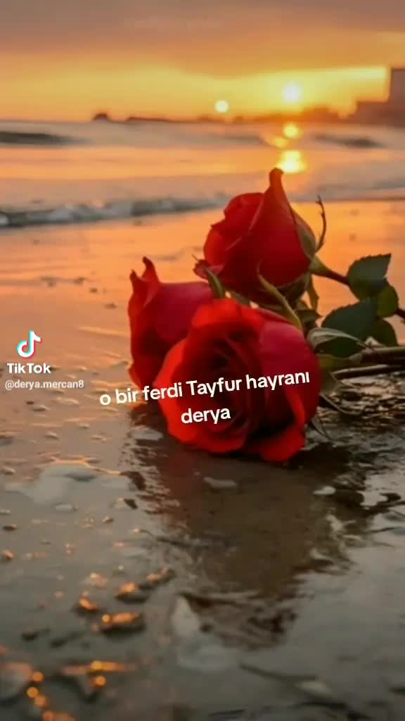 @hanım ağa ❤️❤️