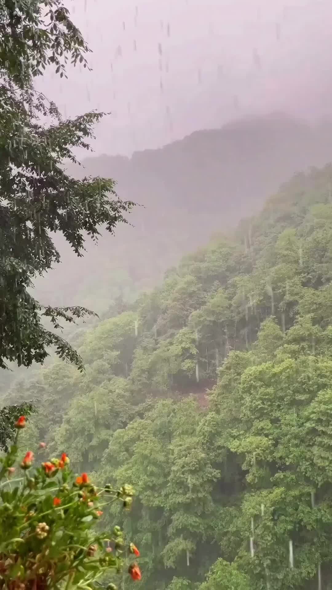 @Buğa bürcü
