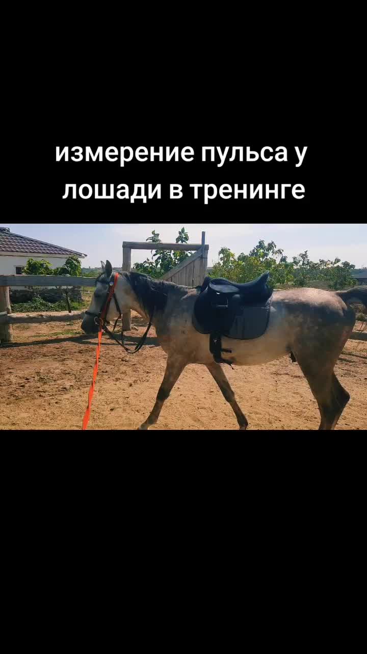 @Александр Червяков