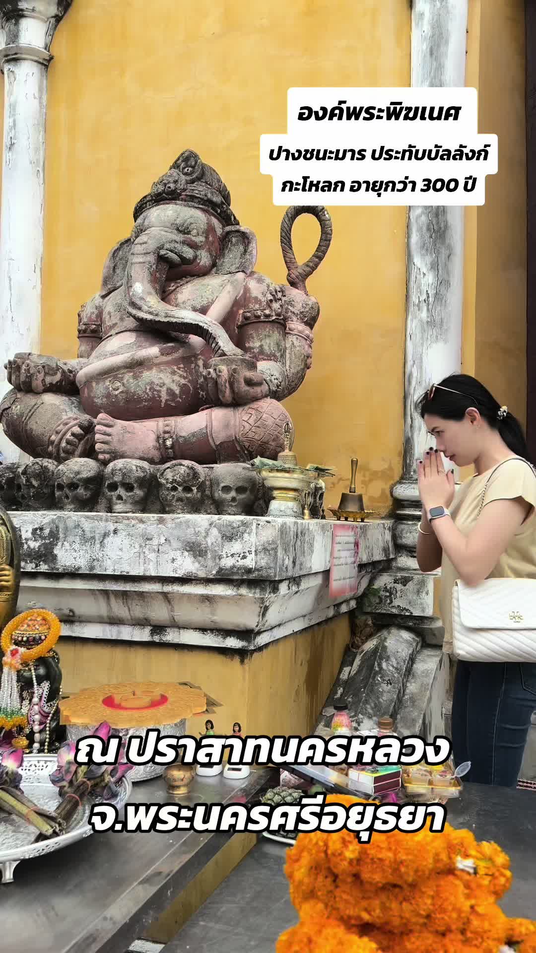 @Pornpan22