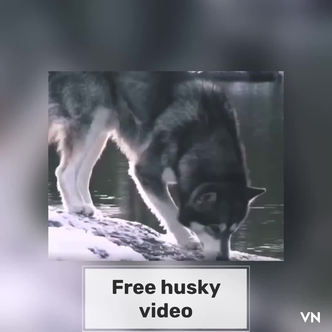 @๐ต๐๐๐ ๐ ๐๐๐ ๐๐๐๐๐๐