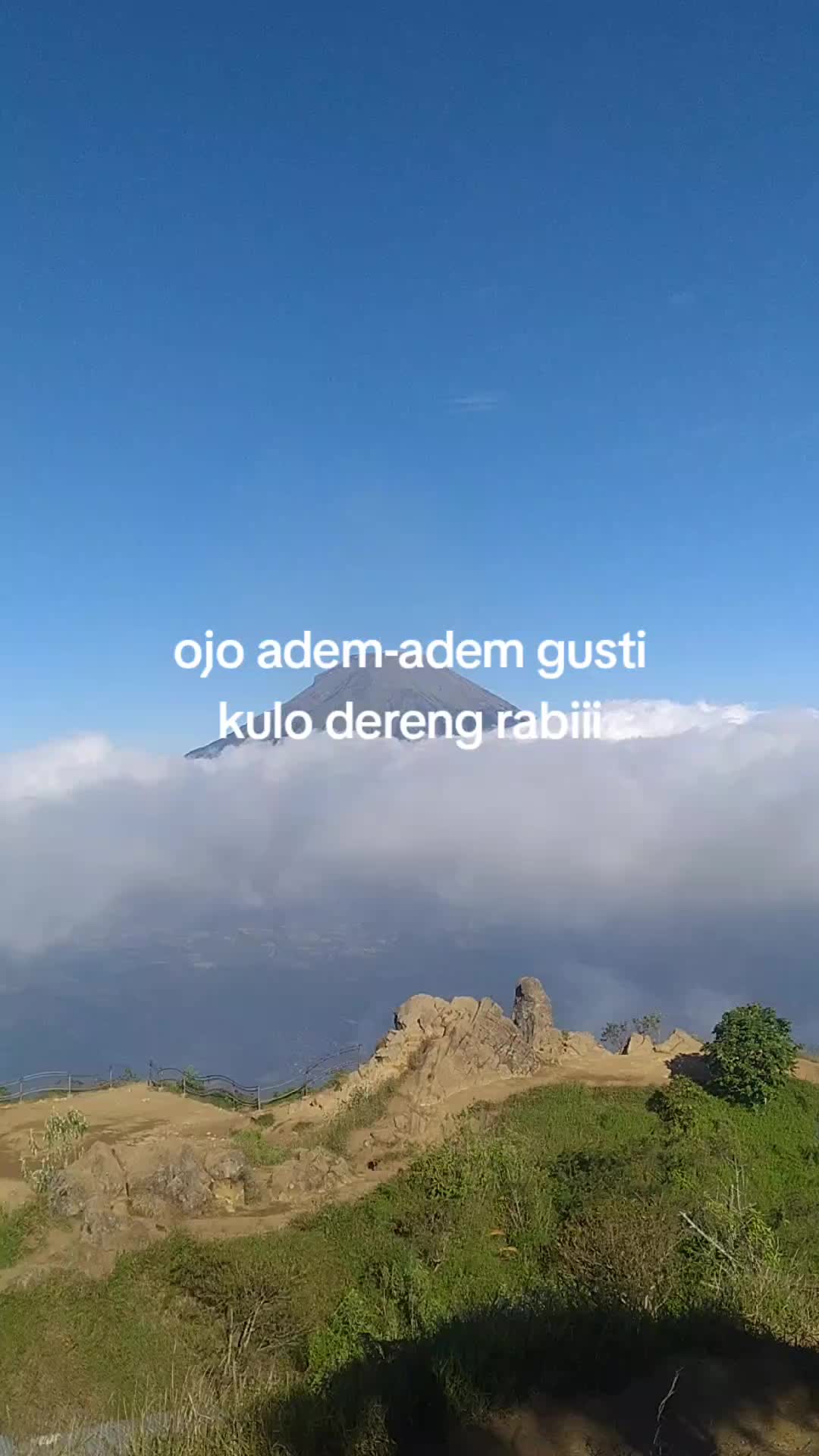 @wiwing APOTIK