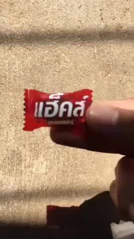 @𝚜𝚞𝚖𝚜𝚒𝚎