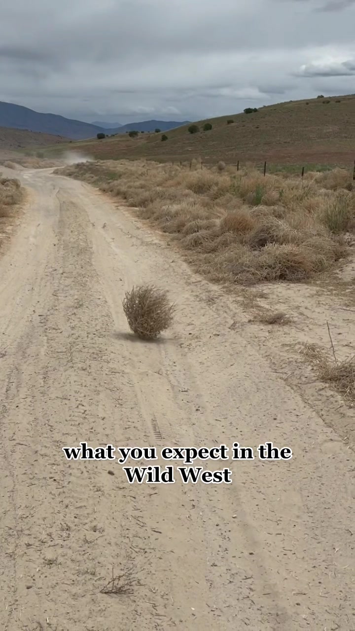 @LEB