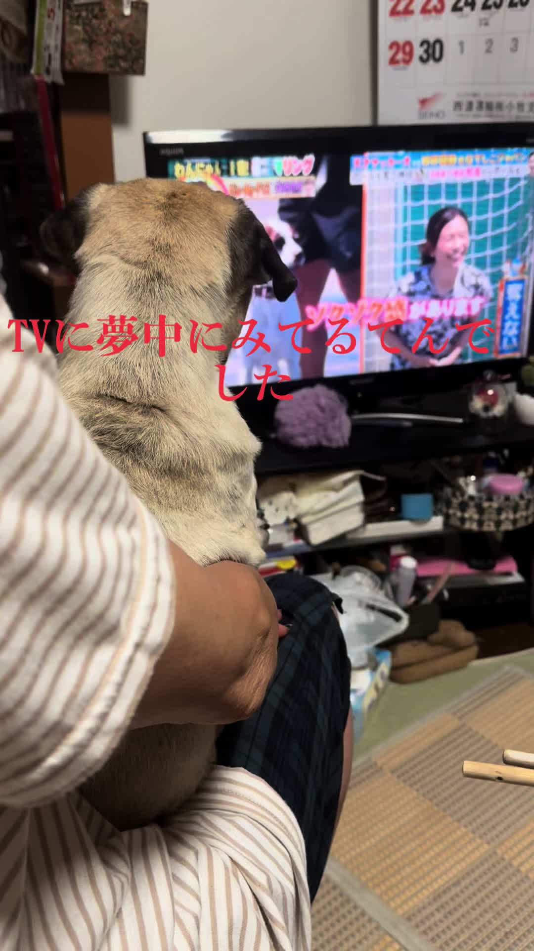@のん&てん