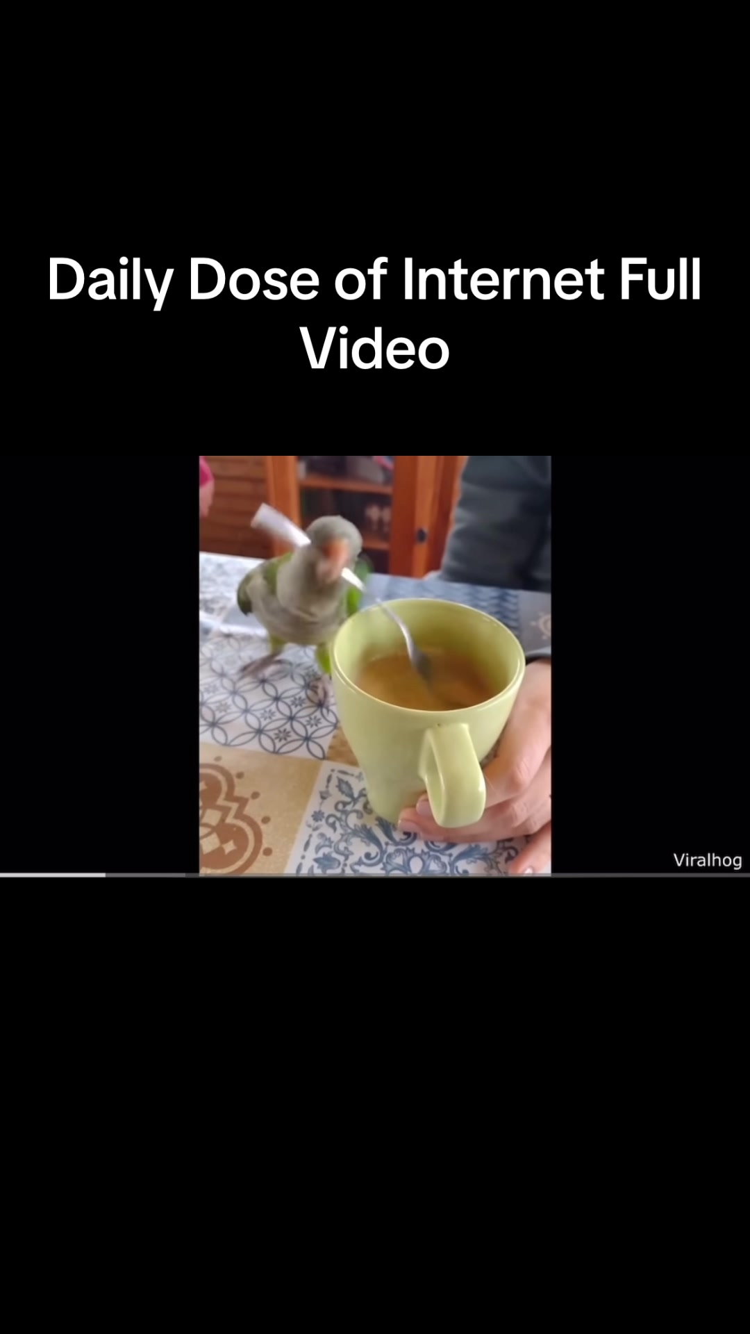 @TheDailyDoseRepost