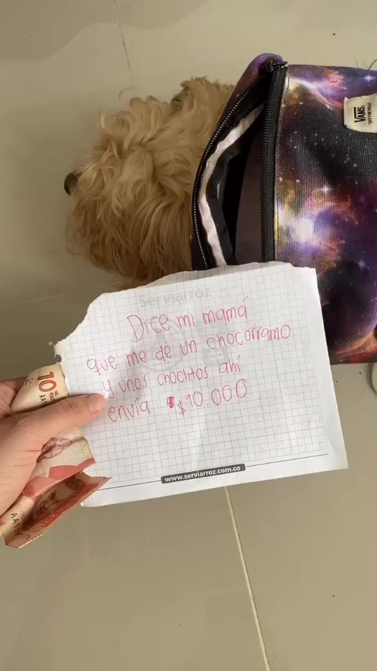 @Katherine Escobar