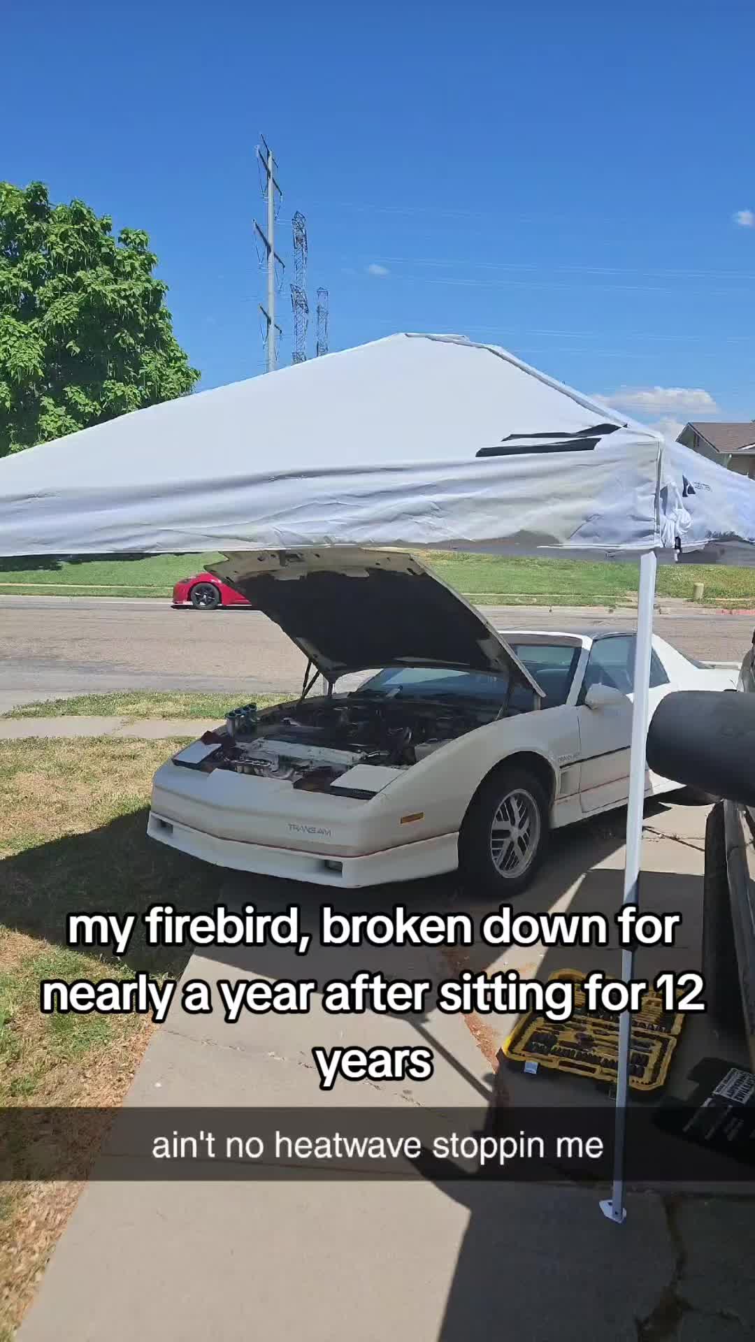 @harley 🦖