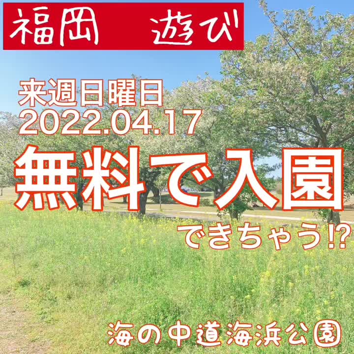 @遊び尽くせ!
