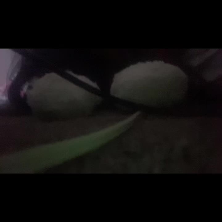 @Vęńt