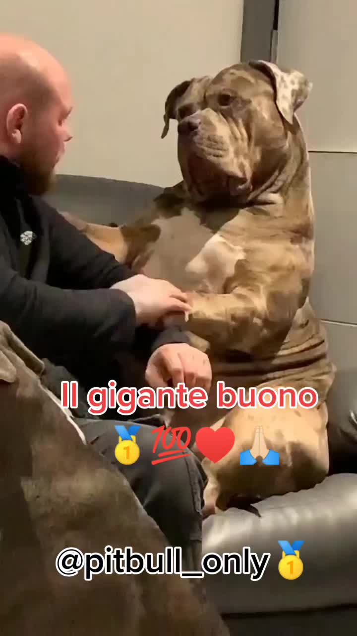 @VENNE DAL FREDDO 🥶