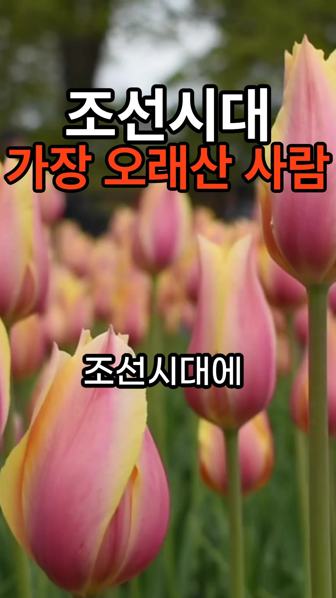 @건강한 산책