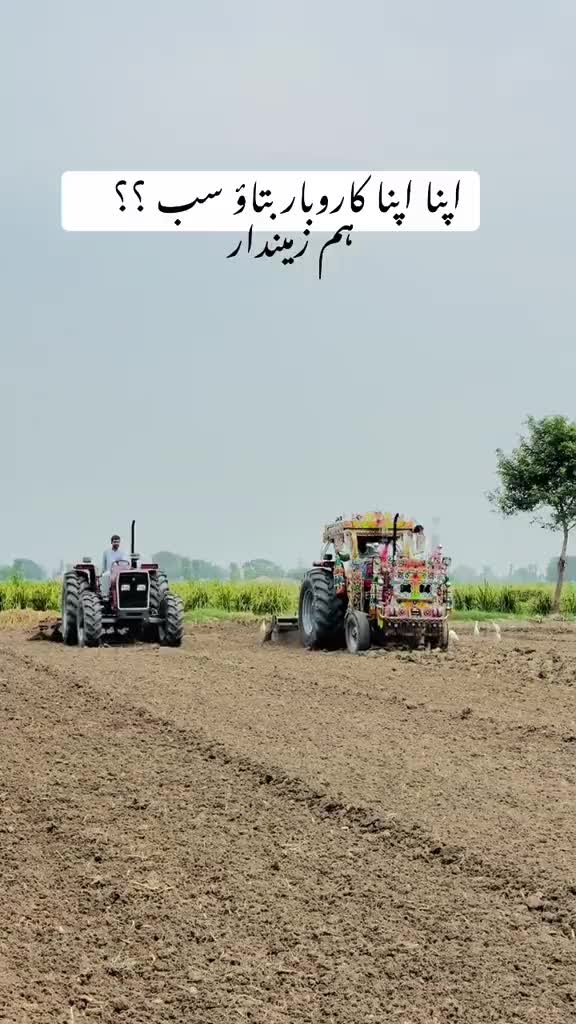 @chaudaryzainali5