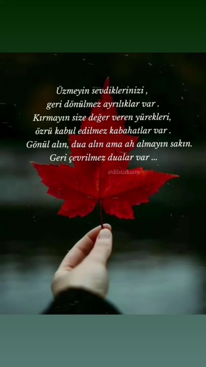 @Bir kelebek 🦋 misali ömrüm