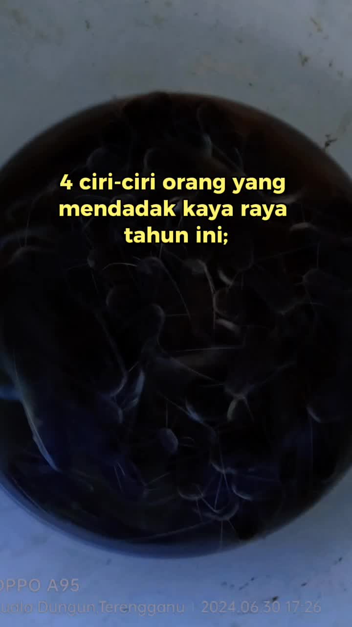 @anak ganu