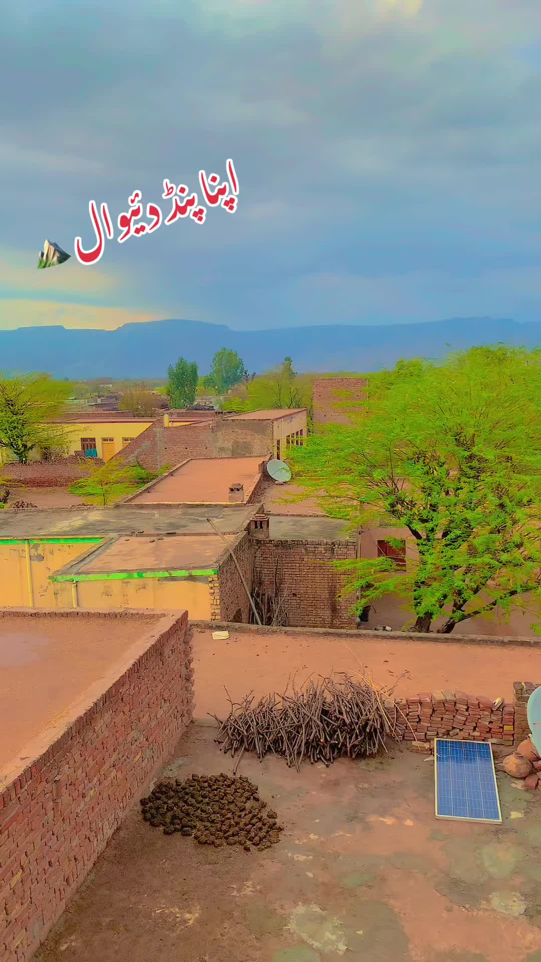 @𝔄𝔮𝔢𝔢𝔩 𝔍𝔞𝔣𝔯𝔦 ✅