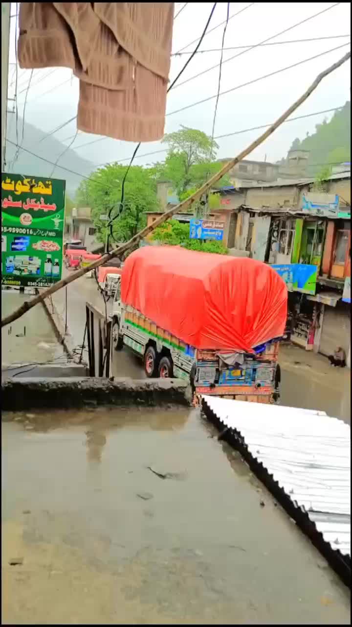 @king shangli