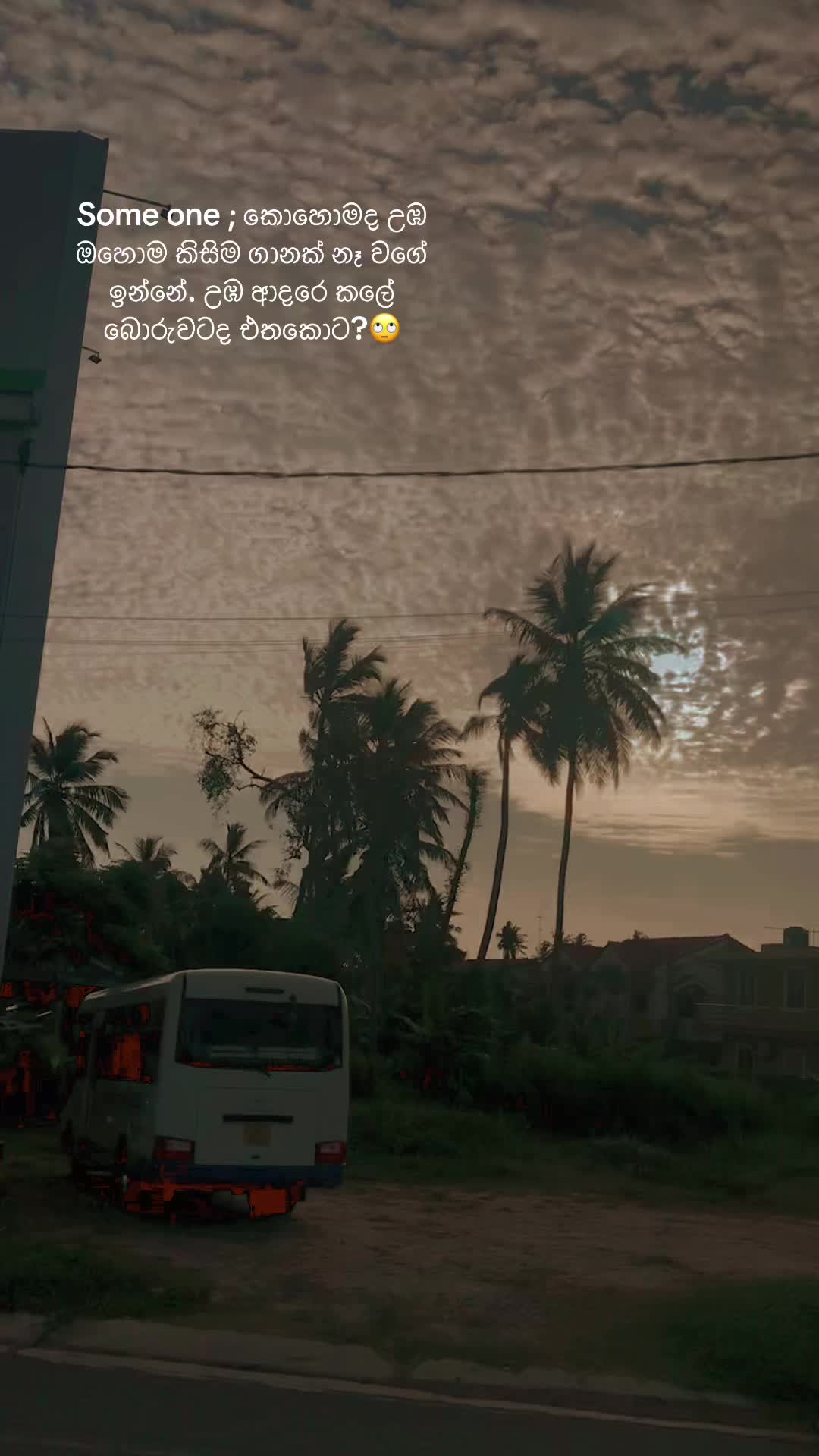 @ɴᴀᴛᴜʀᴇ ᴘʀᴏᴍɪsᴇs
