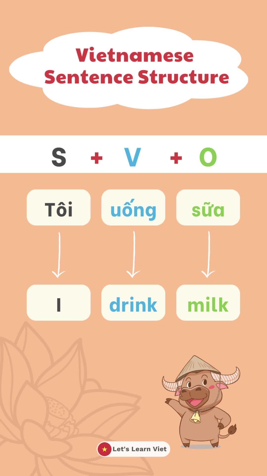 @Lets Learn Viet