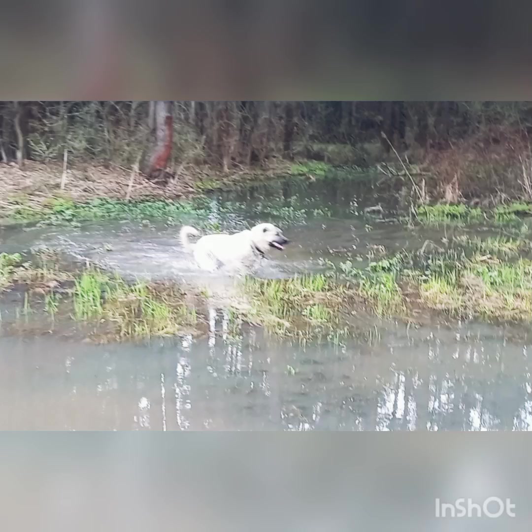 @Сашуля Милашка
