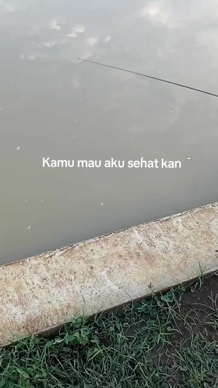 @๐ผ๐โ๐๐โก