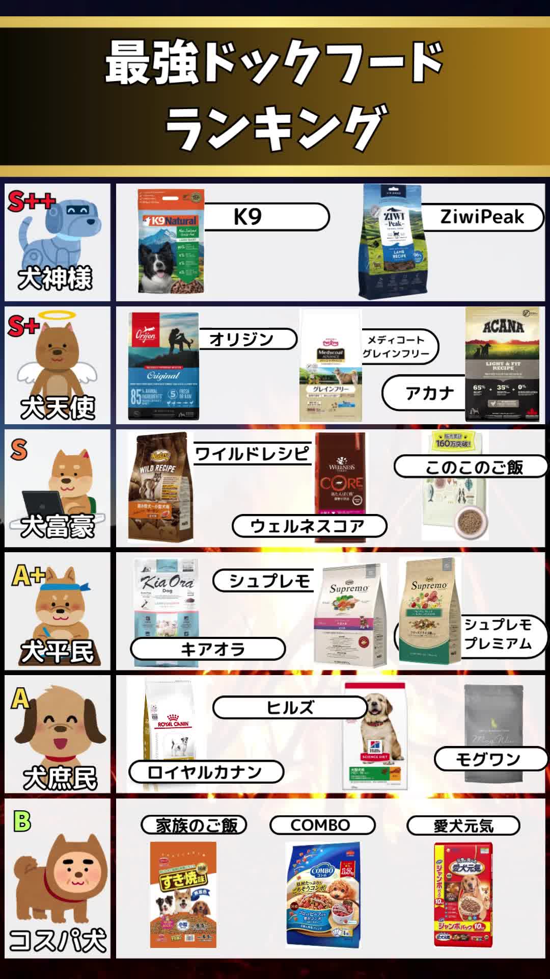 @都内のチワワ