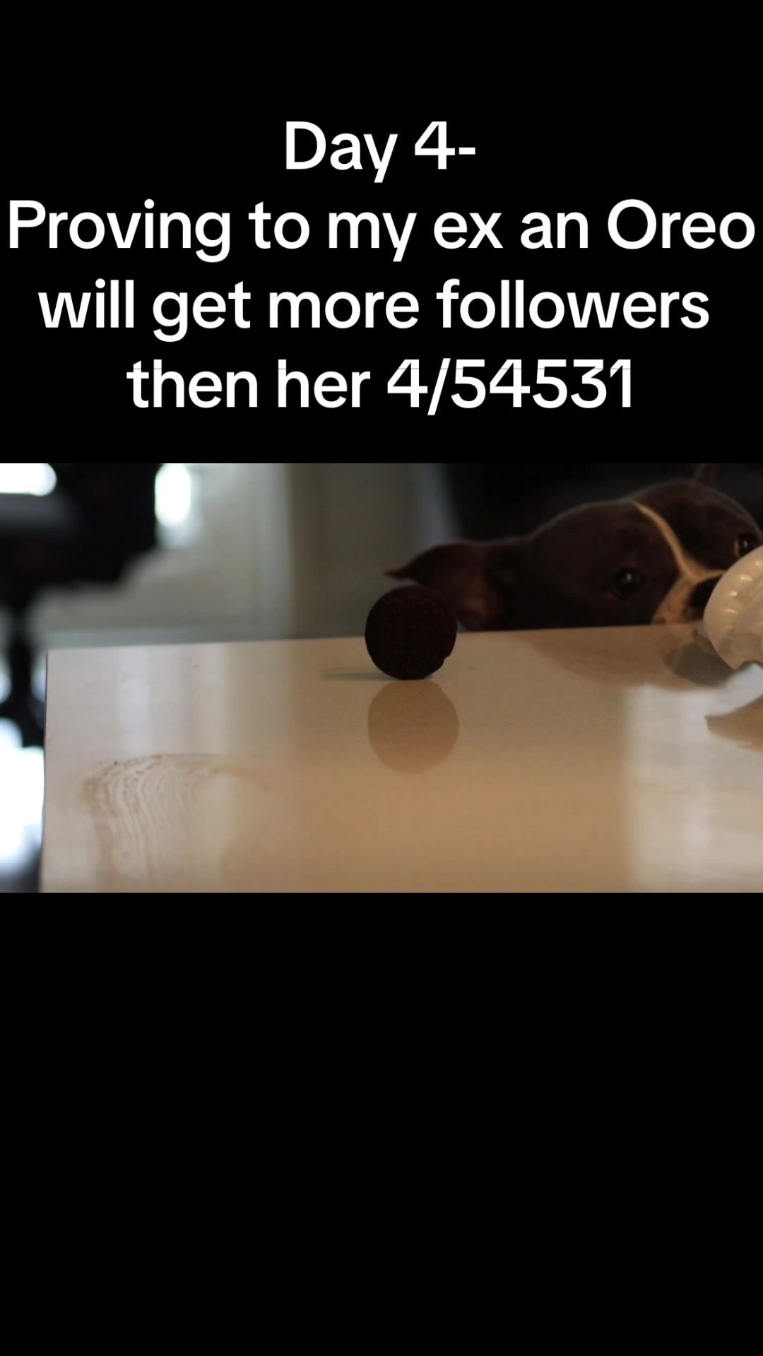 @jacobpacheco514