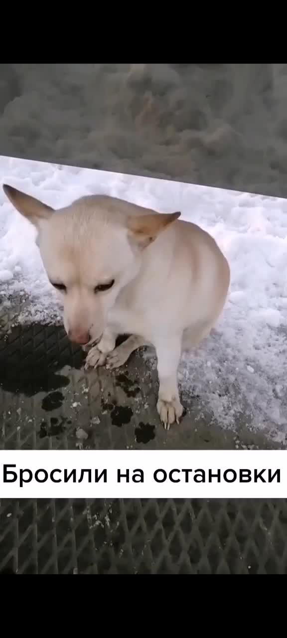 @🥰🥰🥰🥰
