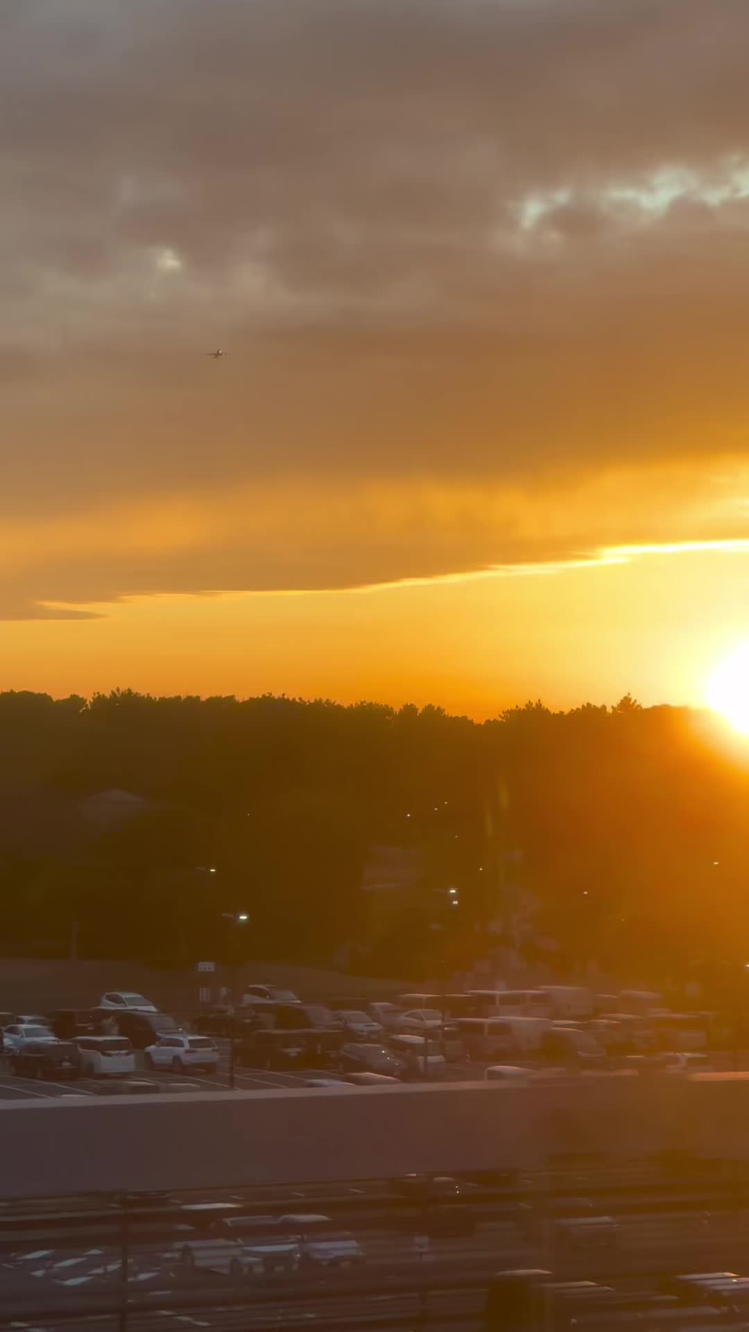 @Alisha Love