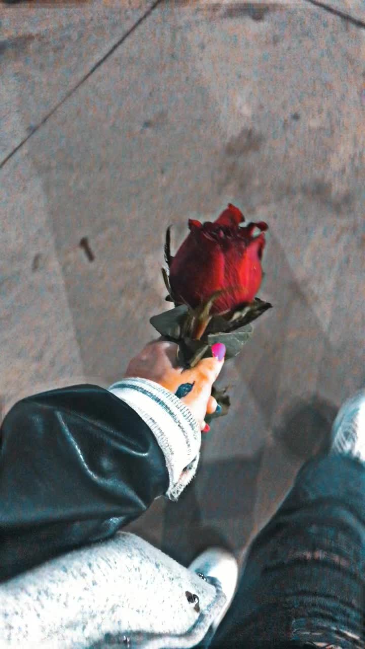 @likko_❤️