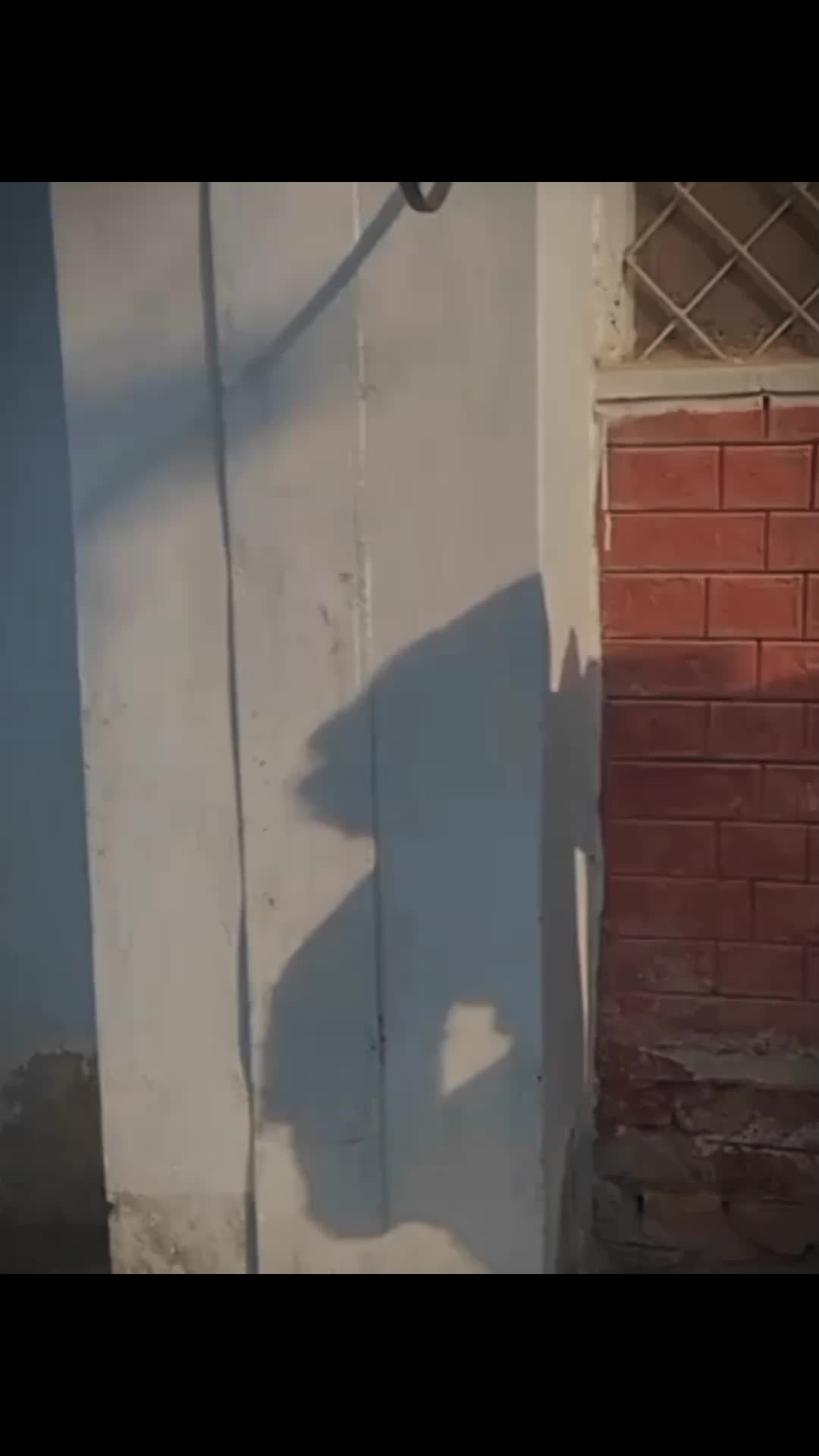 @🇵🇰 PUR خطر ☠️