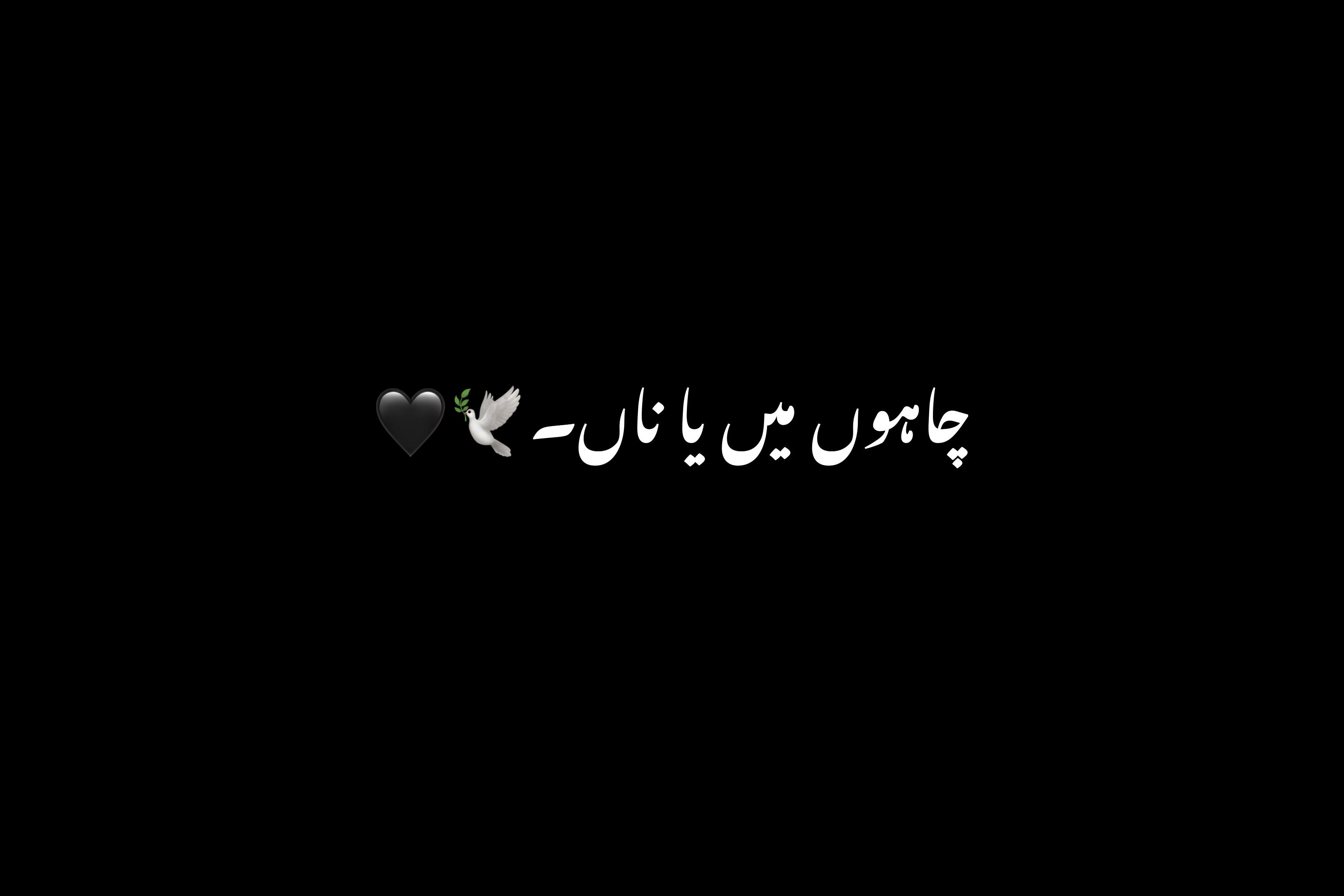 @𝙉 𝙊 𝘽 𝙄 𝙏 𝘼 ♡≫