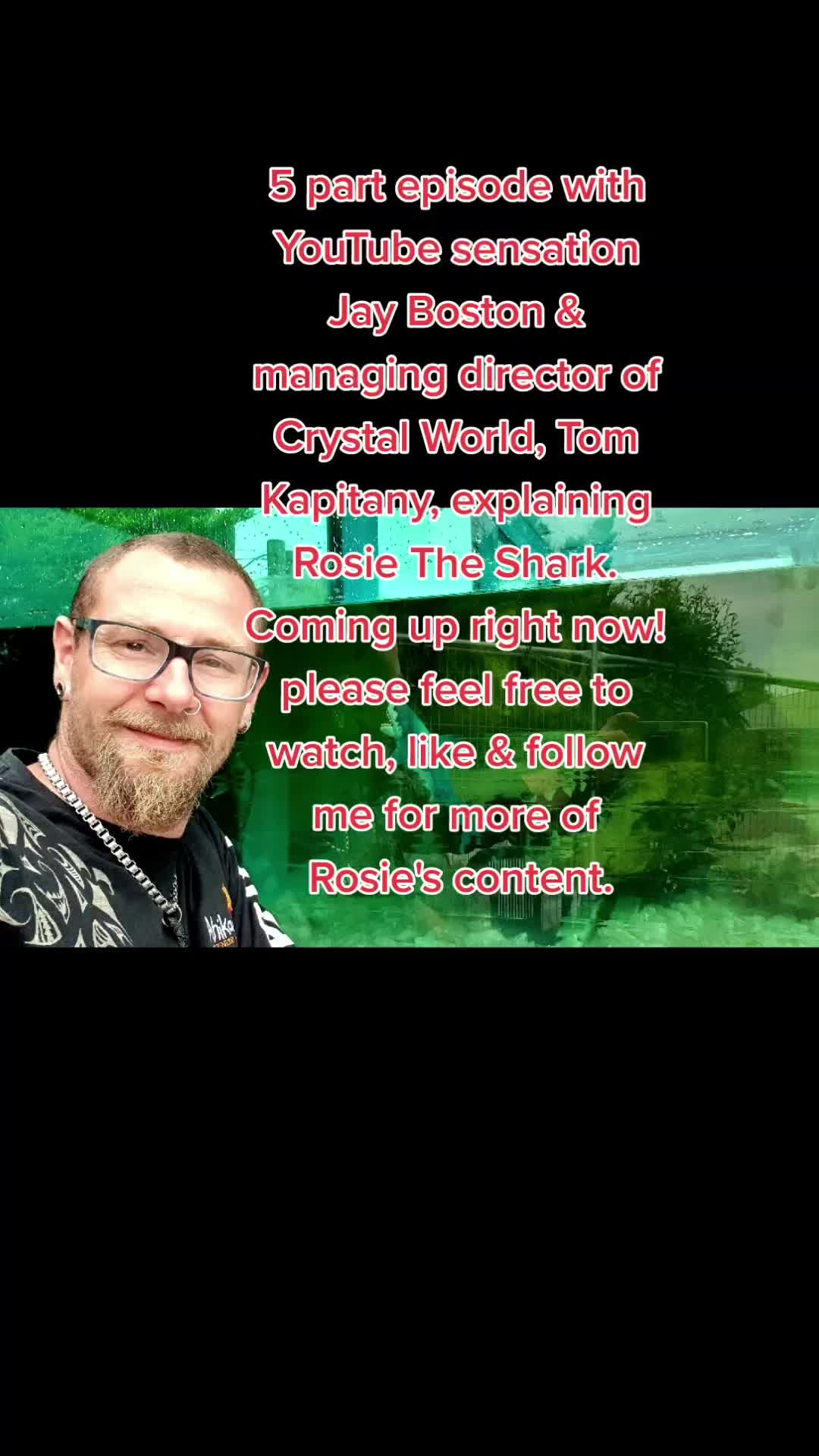 @Wizard