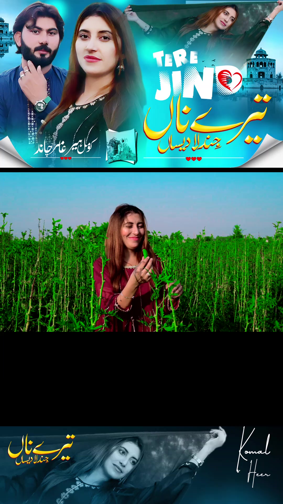 @جھنگ دی ہیر