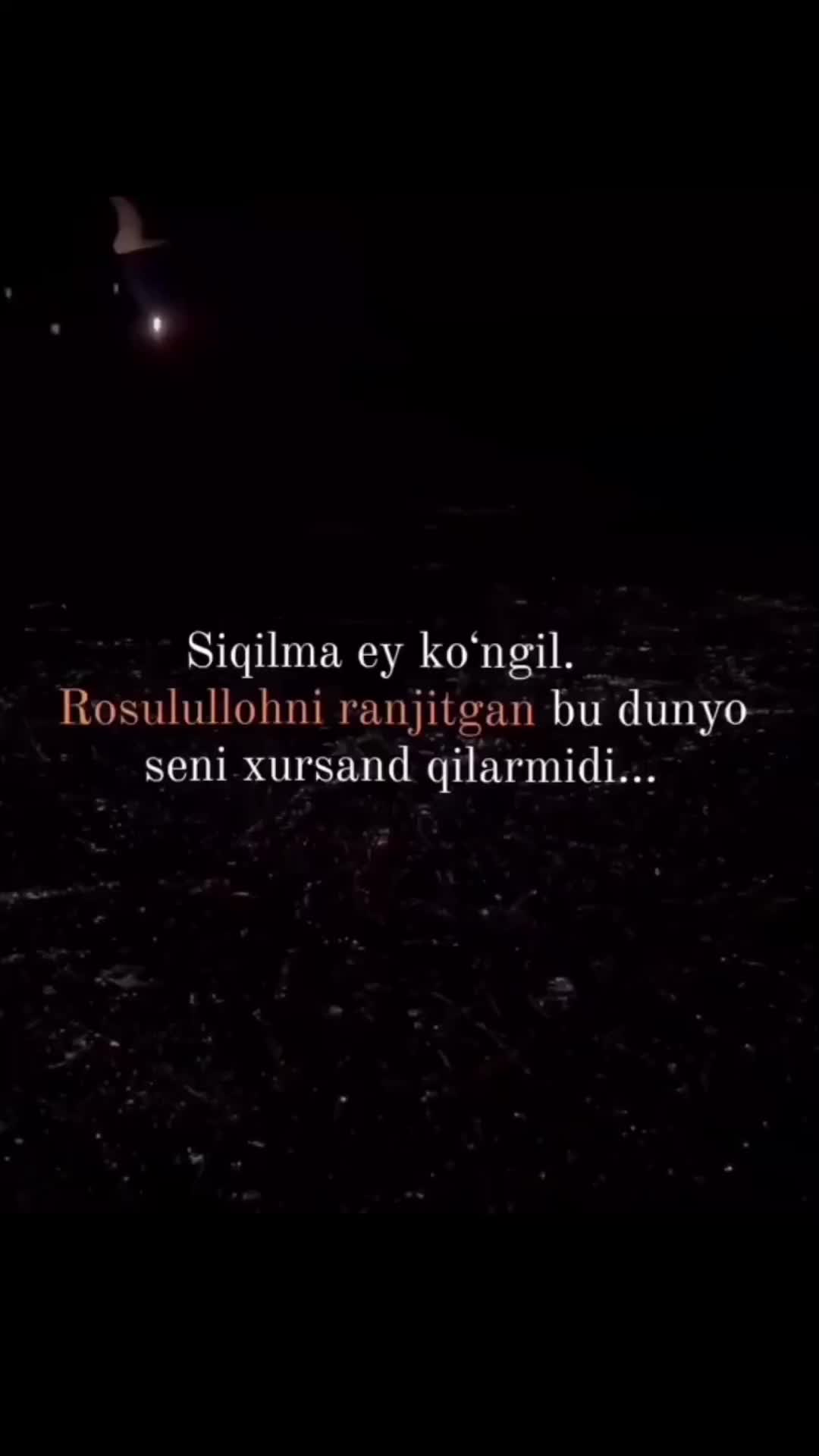 @Ziyadullo