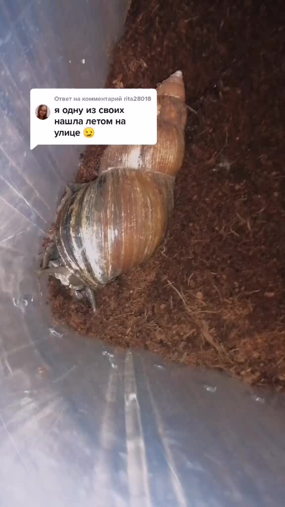@Улиточки🐌💞