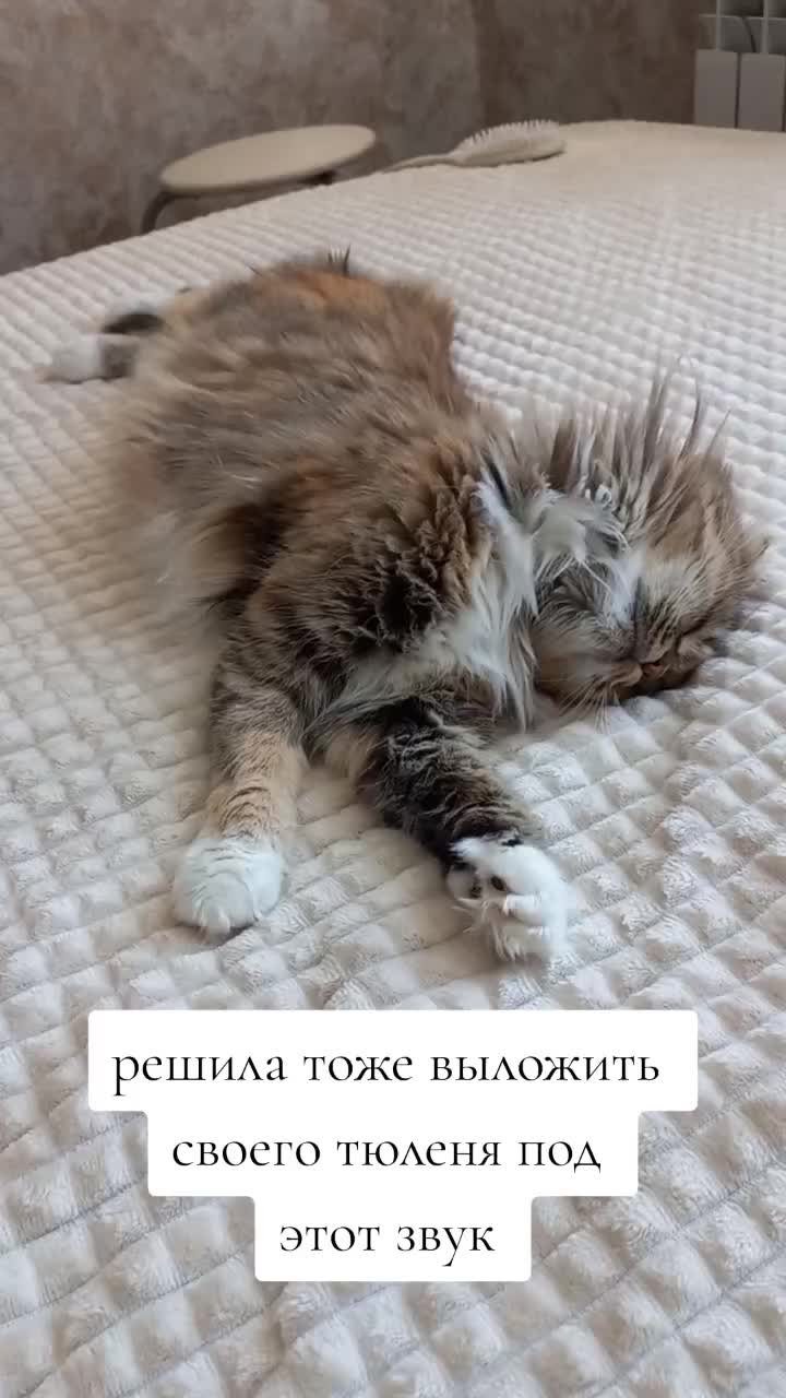 @фрося