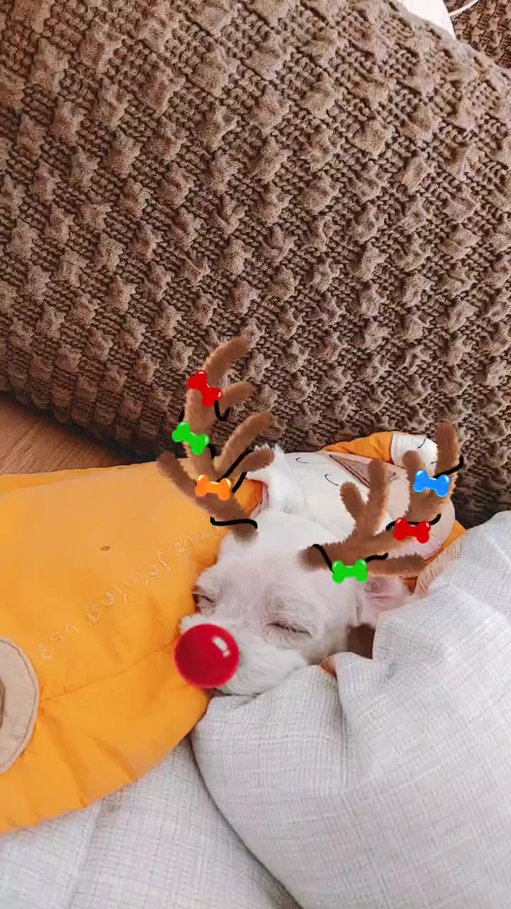 @경이씨