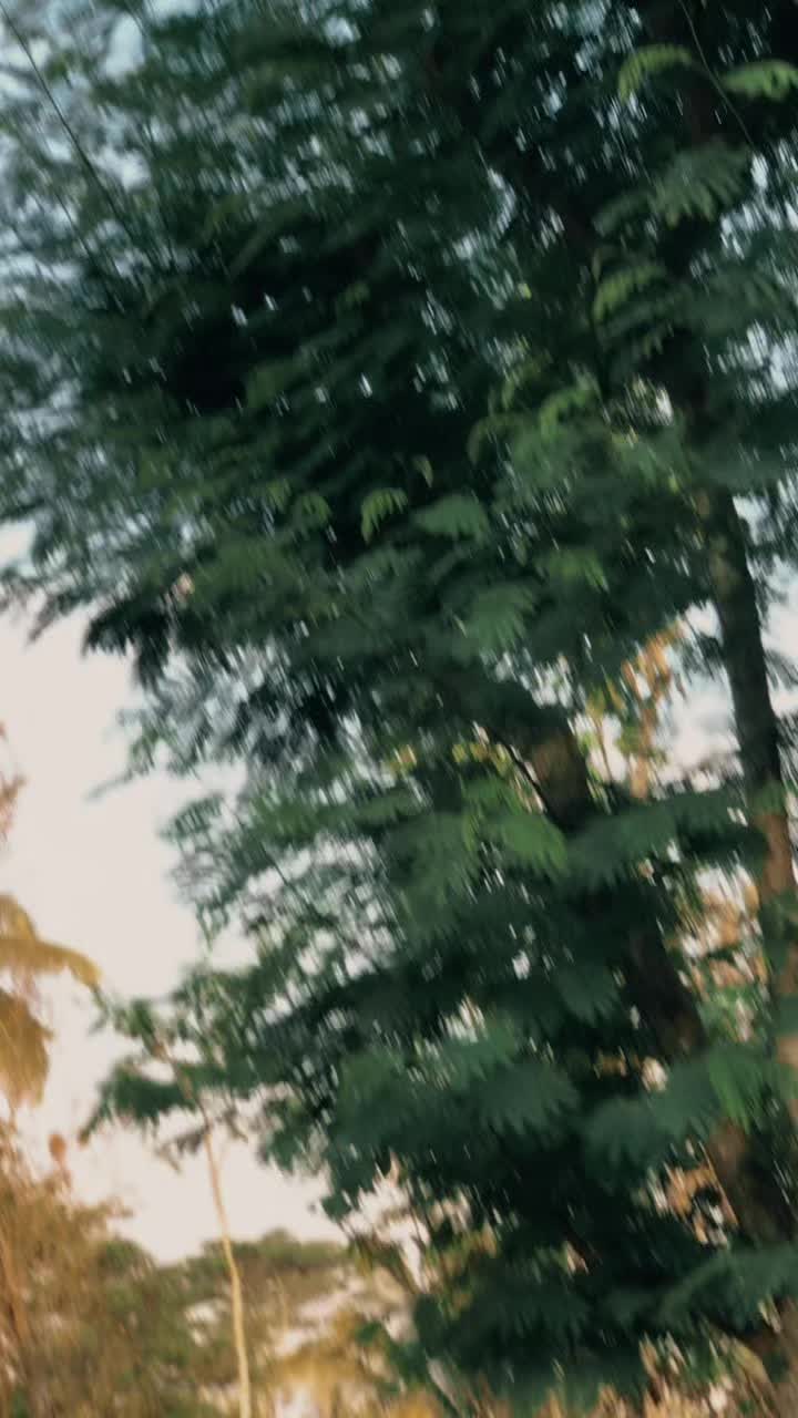 @_haloNDAA_