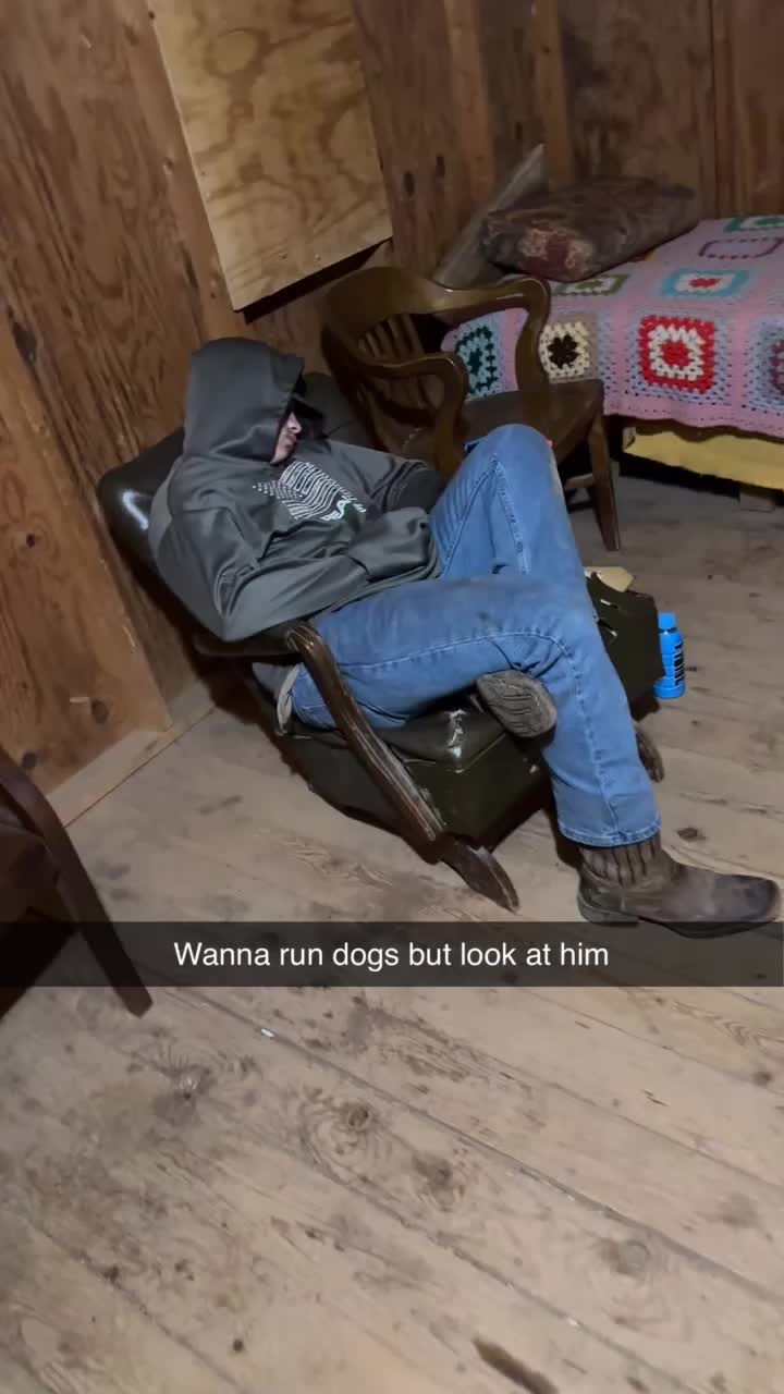 @Under the fence kennels