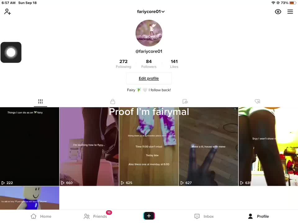@fariycore01