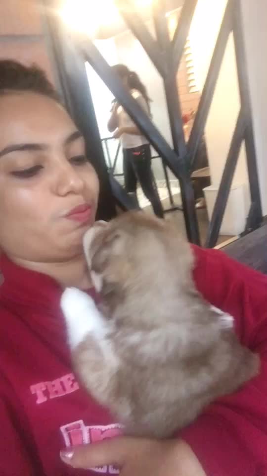 @Priyashetty