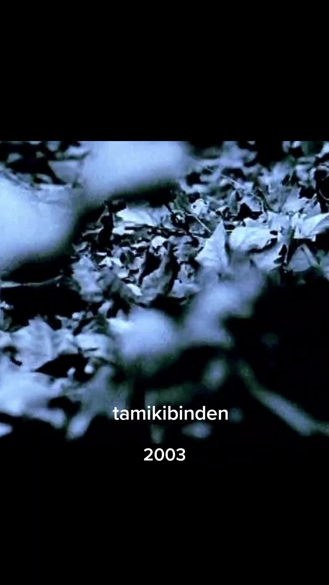 @Tam İkibinden