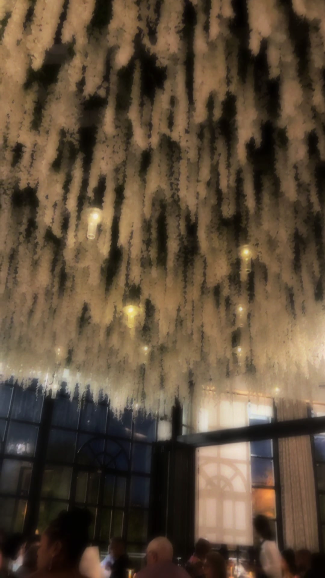 @1cazal