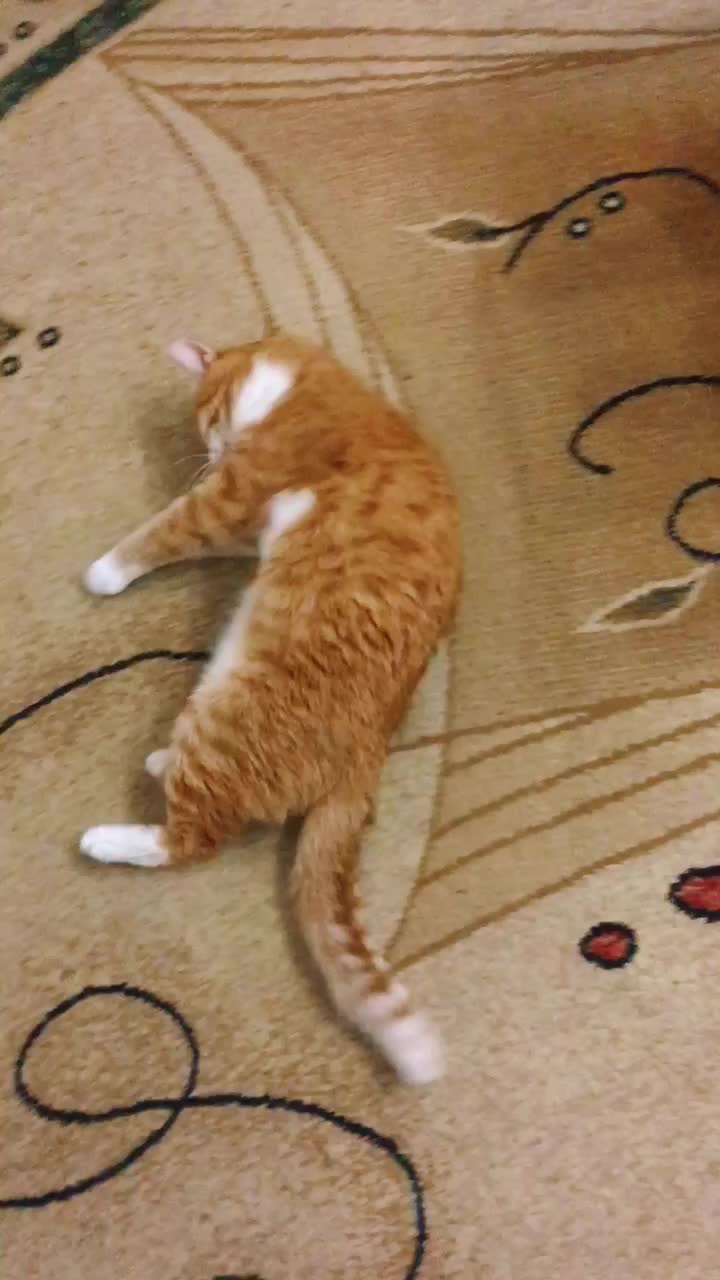 @Татьяна