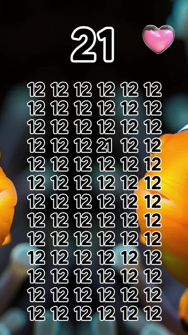 @Ip66