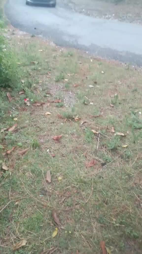 @user9558213333751