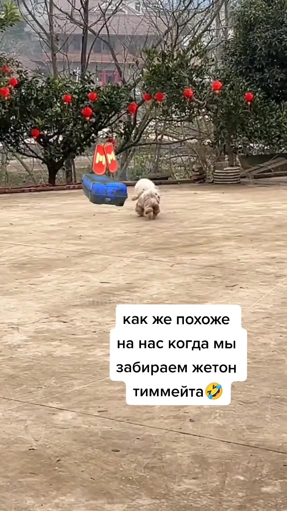 @&AElig;么A1e父彡TT l CODm