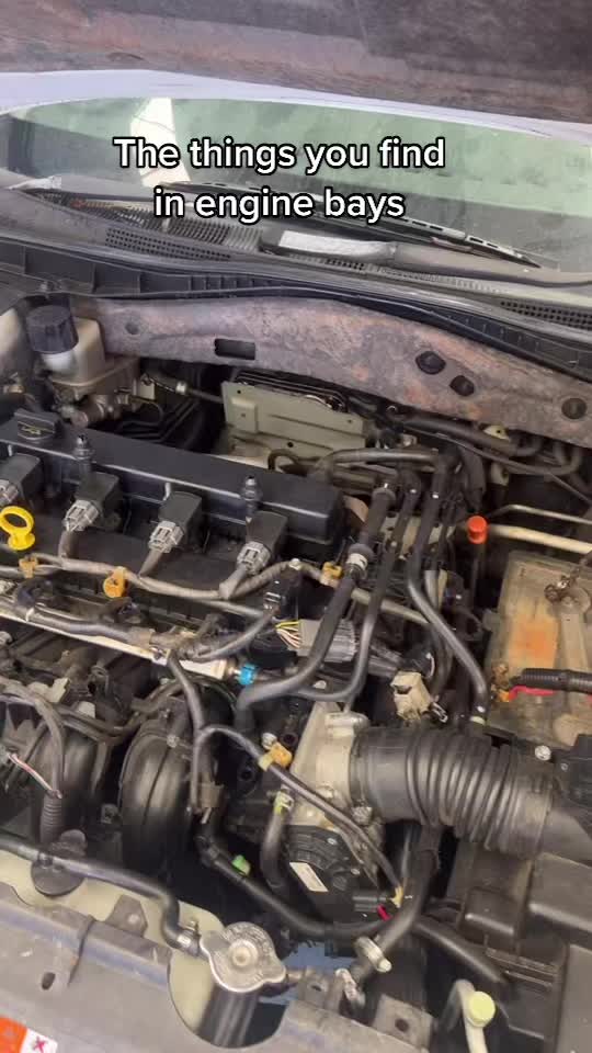 @Procheck_Automotive